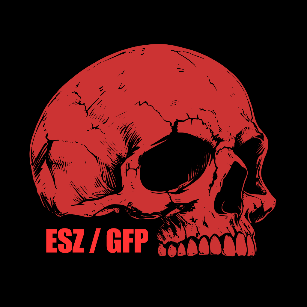 Gunfighter // End State